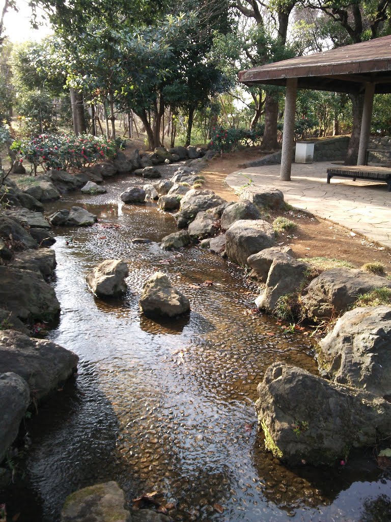 沼袋　平和の森公園 by mthr110