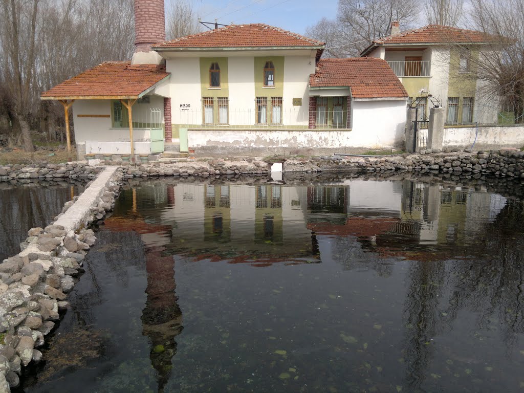 Atkaracalar Ilıpınar Köyü Balıklı Göl (A.S) by Abdullah S.