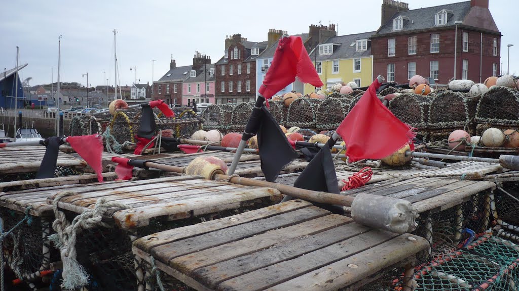 Arbroath Harbour, Arbroath, Scotland. by HazelAgnes