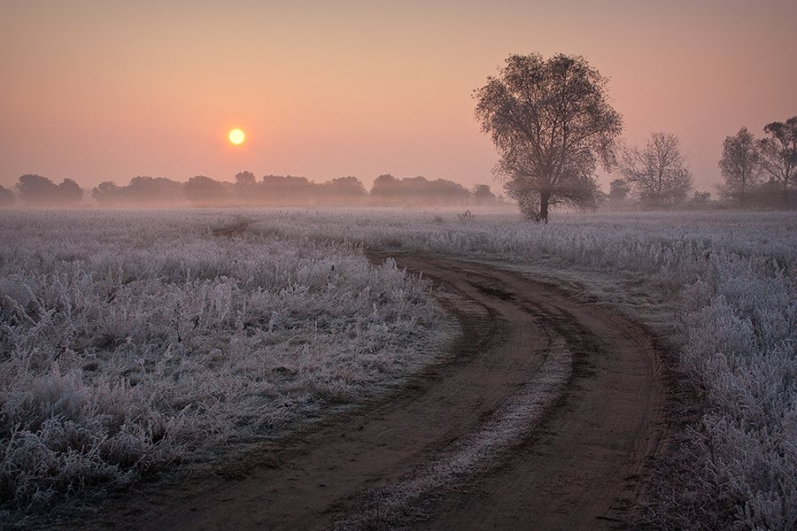 Помаранчевий ранок сивої осені. by Микола Мельничук