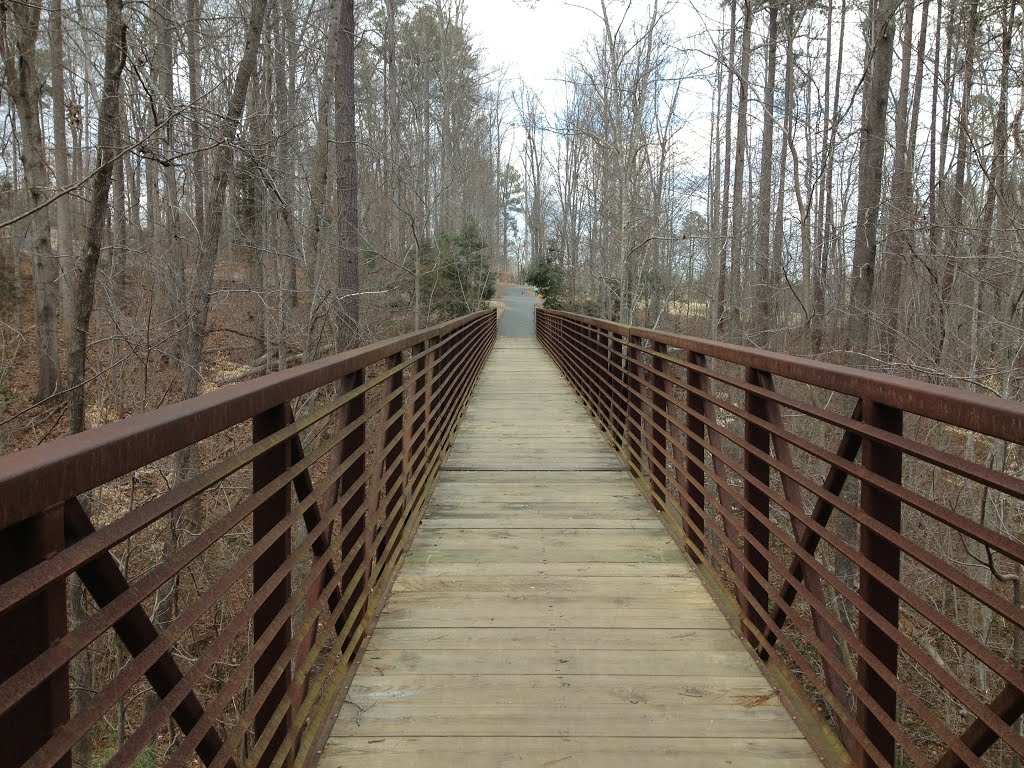 Bridge in North Cary Park by geepee99