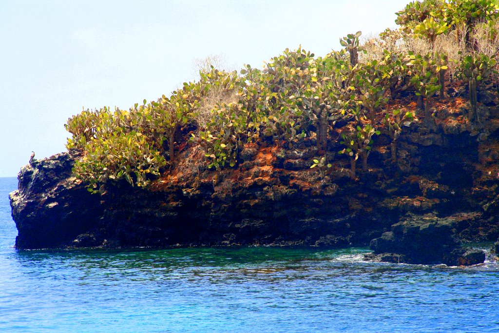 FLOREANA ISLAND by BEATRICE SCHIELE