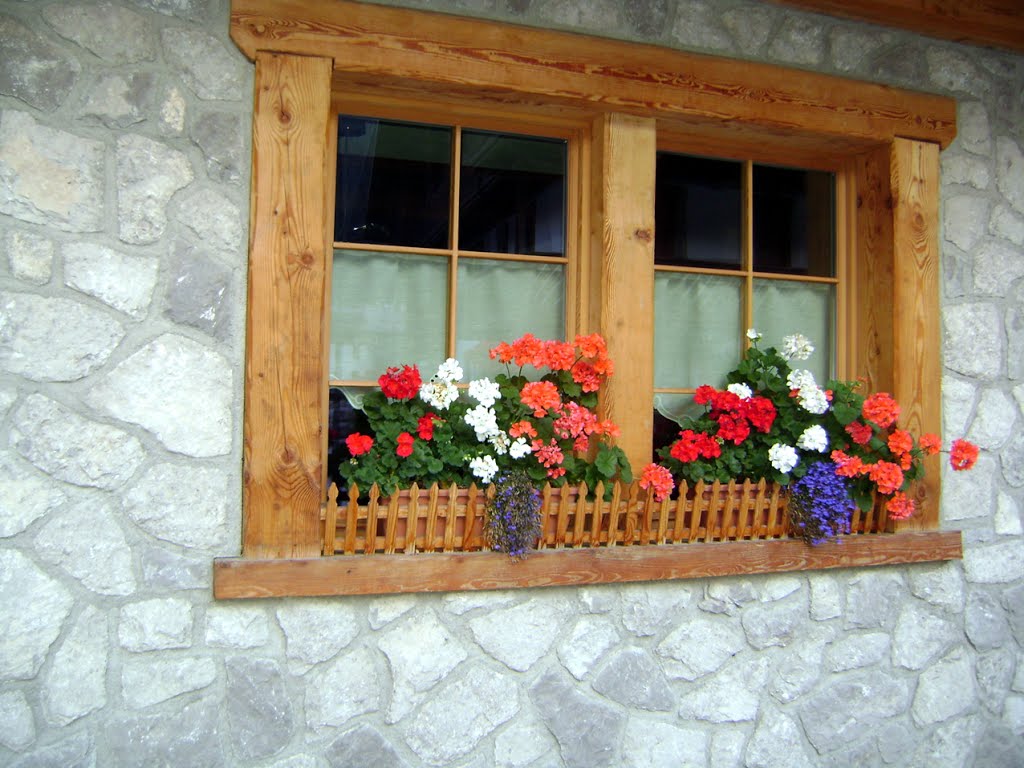 Balcone fiorito a Pecol di Zoldo (set 2012) - Flowered balcony in Pecol Zoldo (Sept 2012) by maurizio-VE-2943