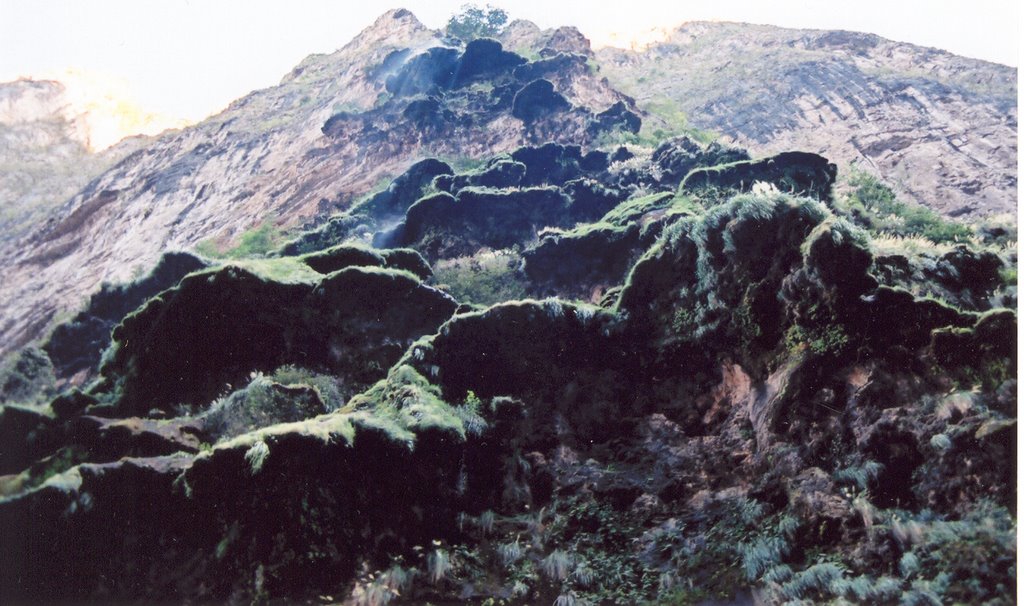 Christmas Tree, CaÃ±on del Sumidero, Tuxtla Gutierrez by Eduardo Manchon