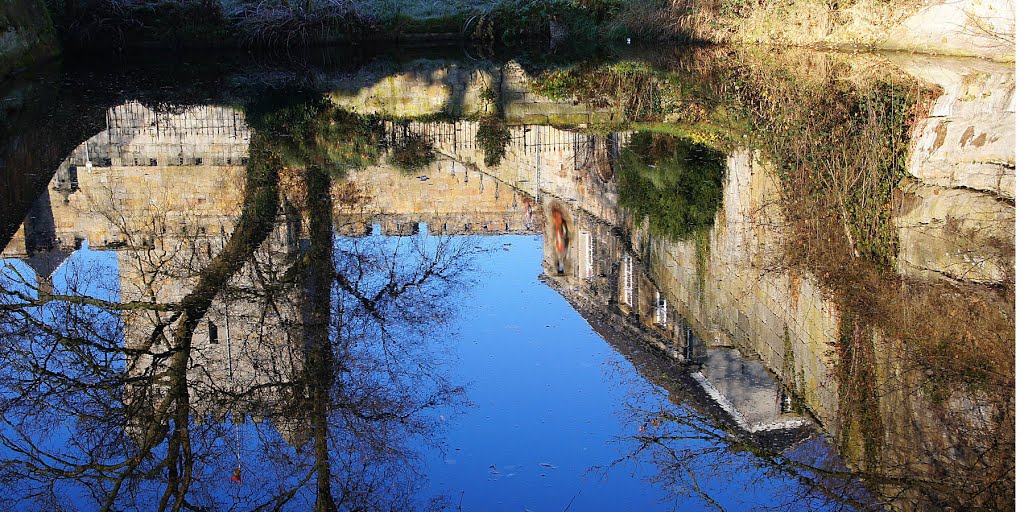 Bentheimer castle reflected in a pond by Gradus Hageman