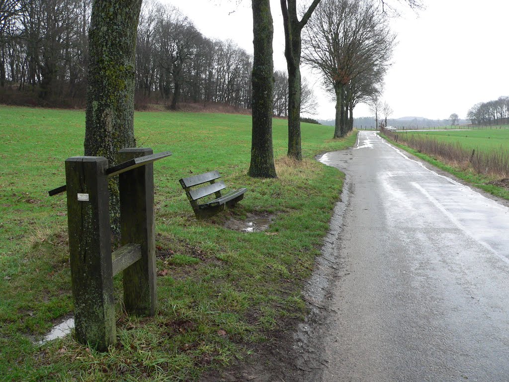 Vrouwenheide rustiek rusten langs verassend drukke gasse by walterskrutser