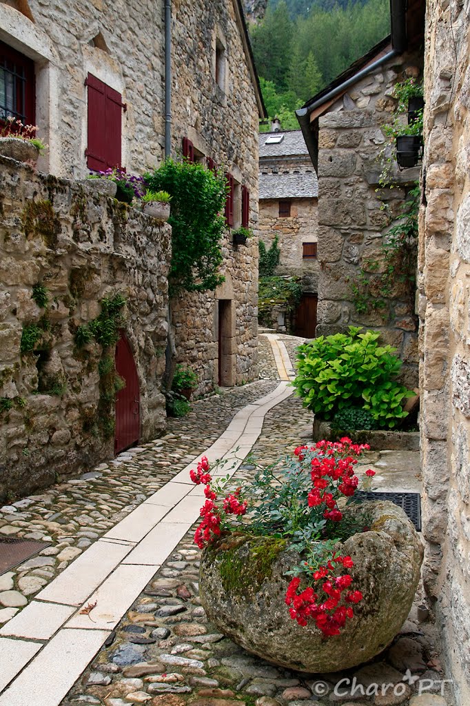 Castelbouc: Piedras y flores by CharoPTorrego