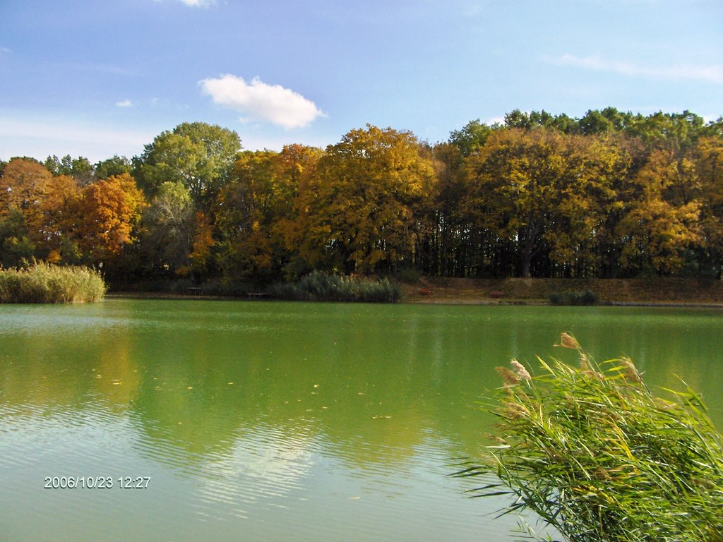 Gyömrői Tófürdő by Bujdosó Attila