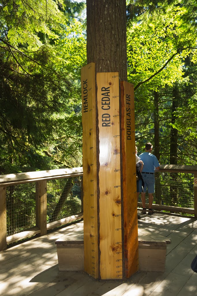 Suspension Bridge, Vancouver by Shail Bhat