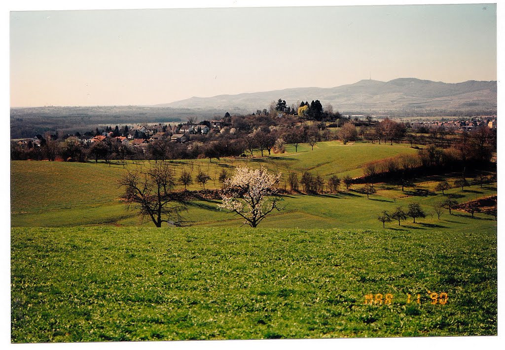 March Spring Kaiserstuhl view - Magic Rhine Valley Photography 1990 Schloßberg Emmendingen by jettcom