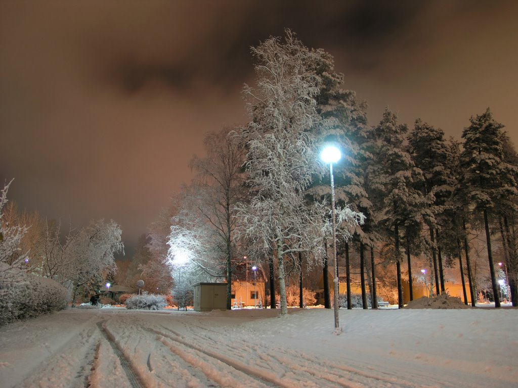 Soininpolku lumimyräkän jälkeen by Esa Salonen