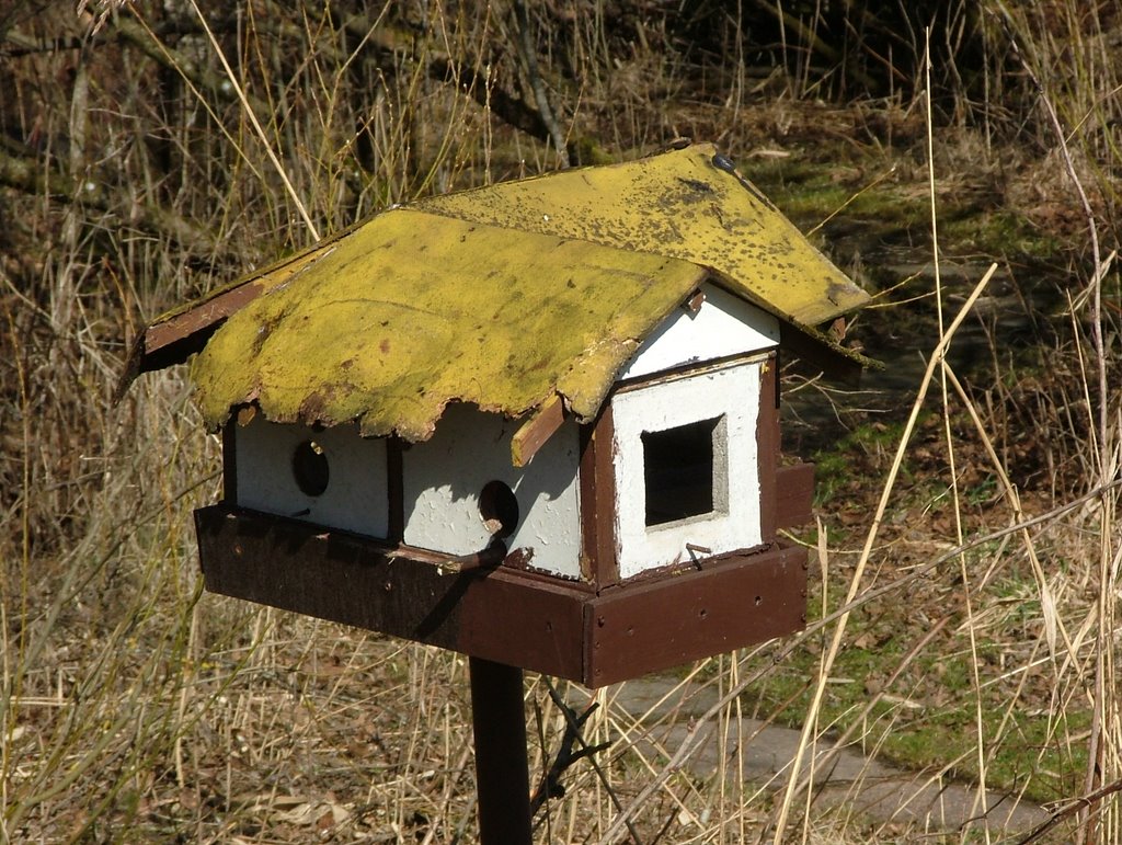 Vogelhaus by Richard Mayer