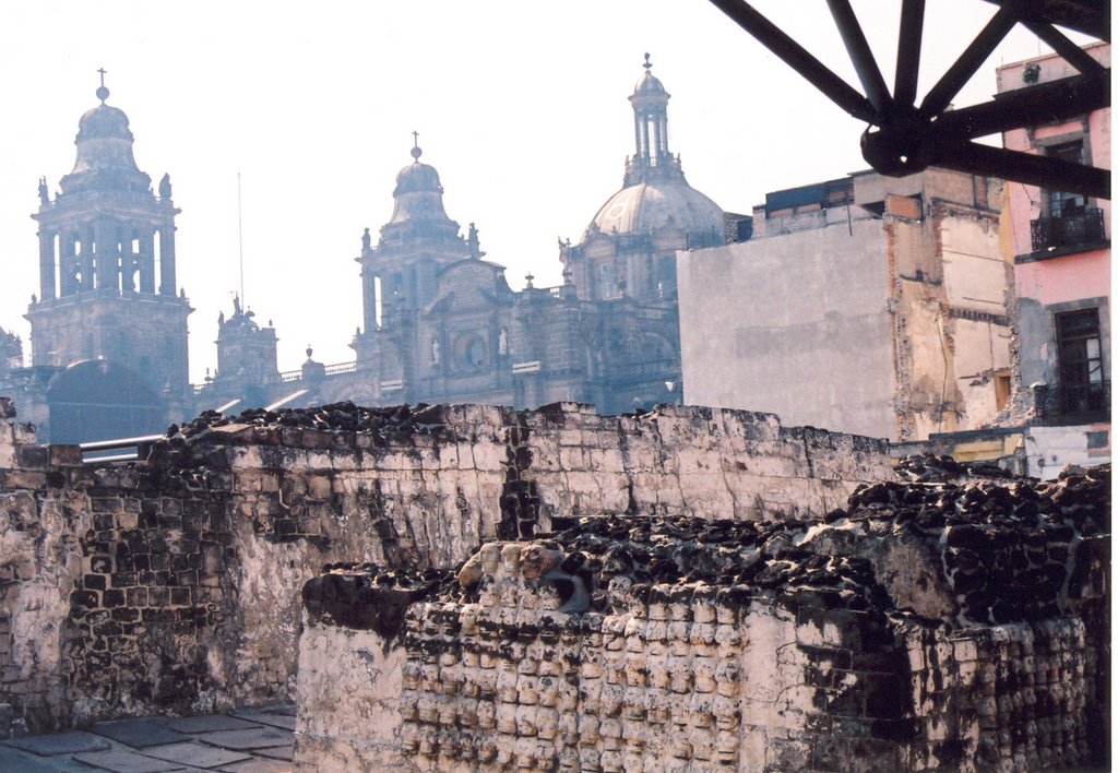 Skulls, Aztec Ruins, Mexico City by Eduardo Manchón