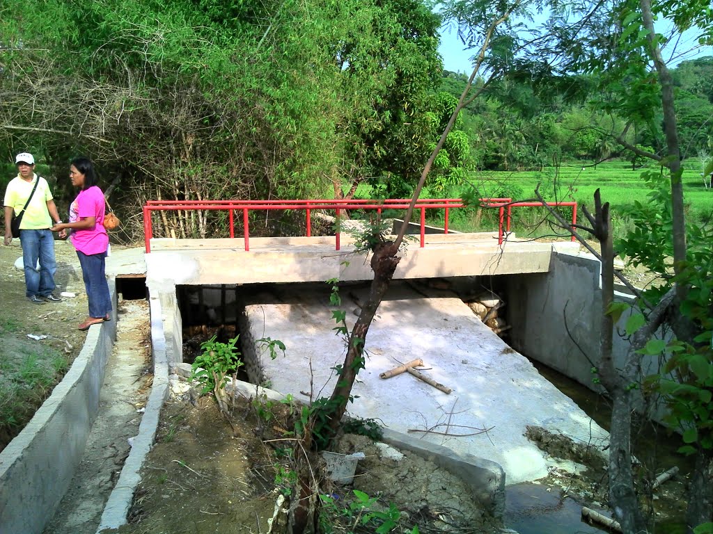 Caoao Diversion Dam, Pennarubia, Abra by ELIEZER N. RIÑEN