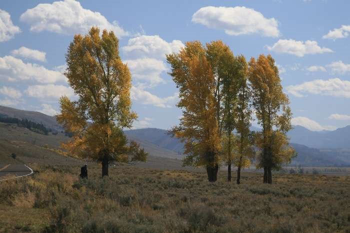 Yellowstone Nationalpark by Frank Merfort