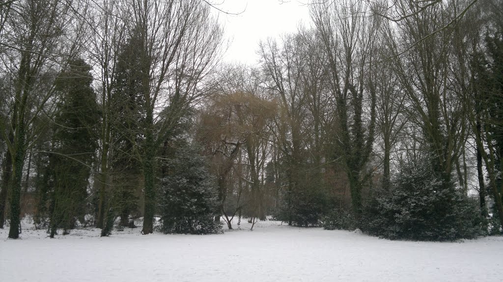 Winter in Holland Stadspark De Oude Dijk, 26 January 2013 by Woestenborg