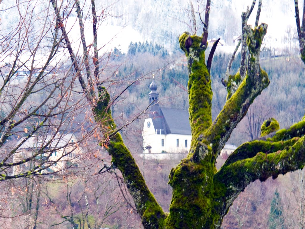 Hilfberg Mondsee by gerhard weiss