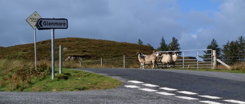 Just west of Portree, Skye, Scotland by Ian Besch