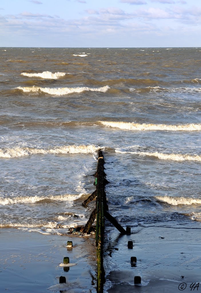 Grandcamp-Maisy : Pointé vers l'horizon. by Y. A, Villyssois.