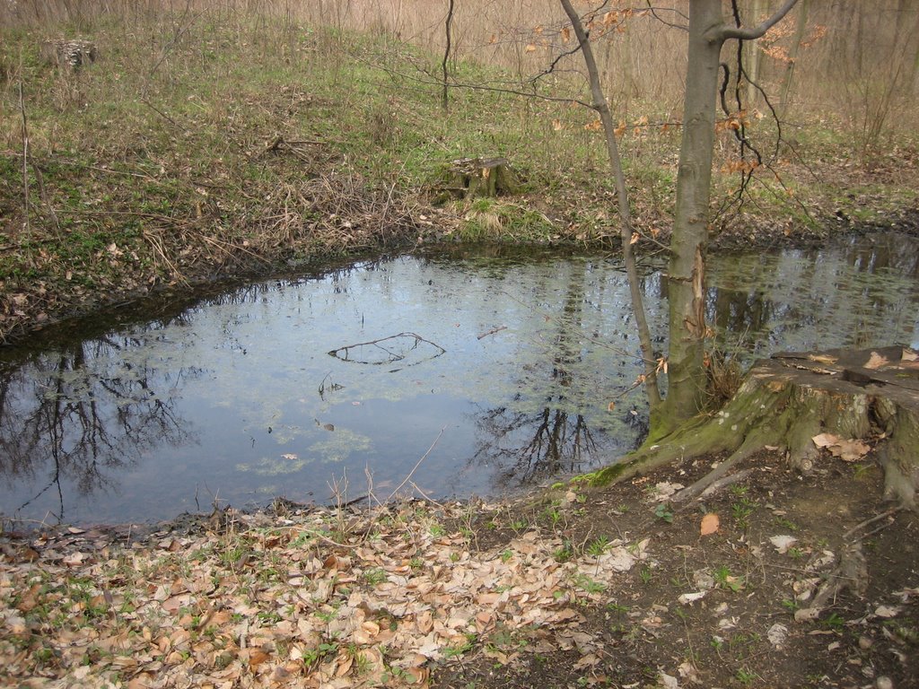 Barnova by IAŞI adevărata capitală