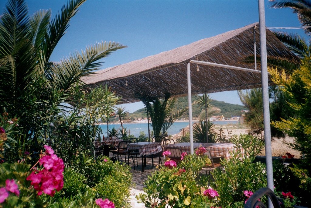 View from Oasis, Alykanas by Suzanne Tibbo