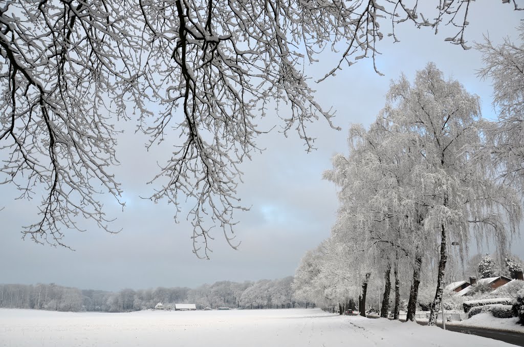 One of my favorites views of Schaarsbergen Hoge Erf with nice snow at 6 Februari 2013 by Henq