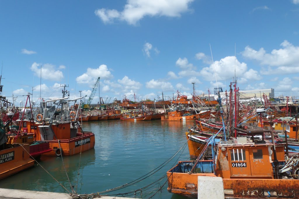 Puerto de Mar del Plata by La Banda Diario