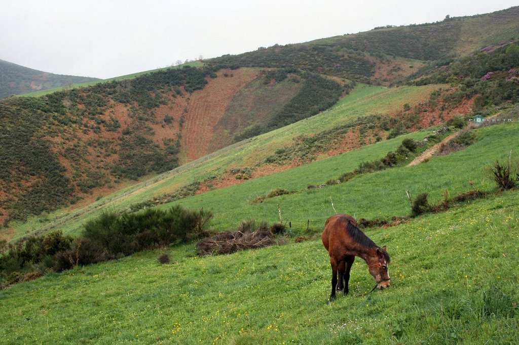 07-04-28_[CAMINO de SANTIAGO] _PIXELECTA by Juan PIXELECTA