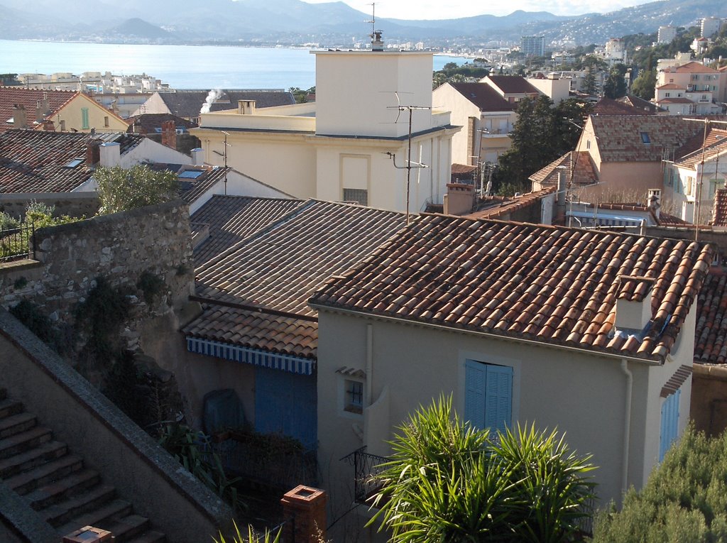 Roofs of Cannes by access falk