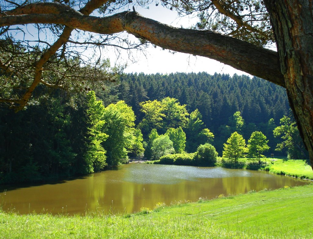 Am Karstlehrpfad by Natur - pur