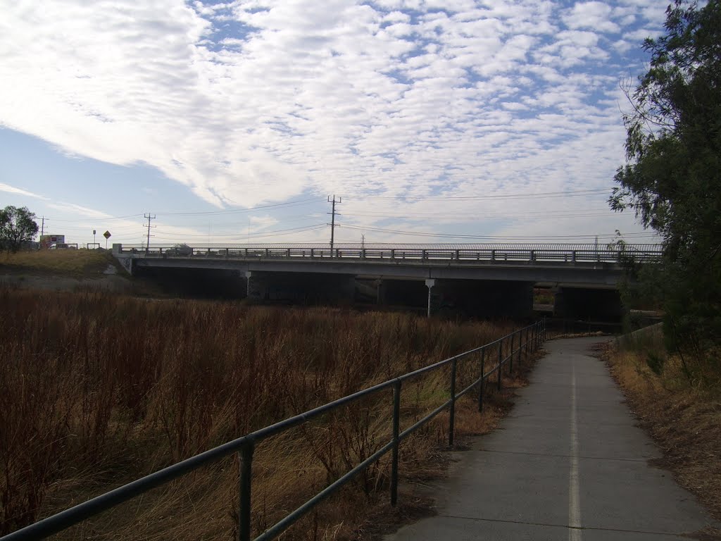 Wellington Road Bridge over Dandenong Creek by VICPhotoSurvey