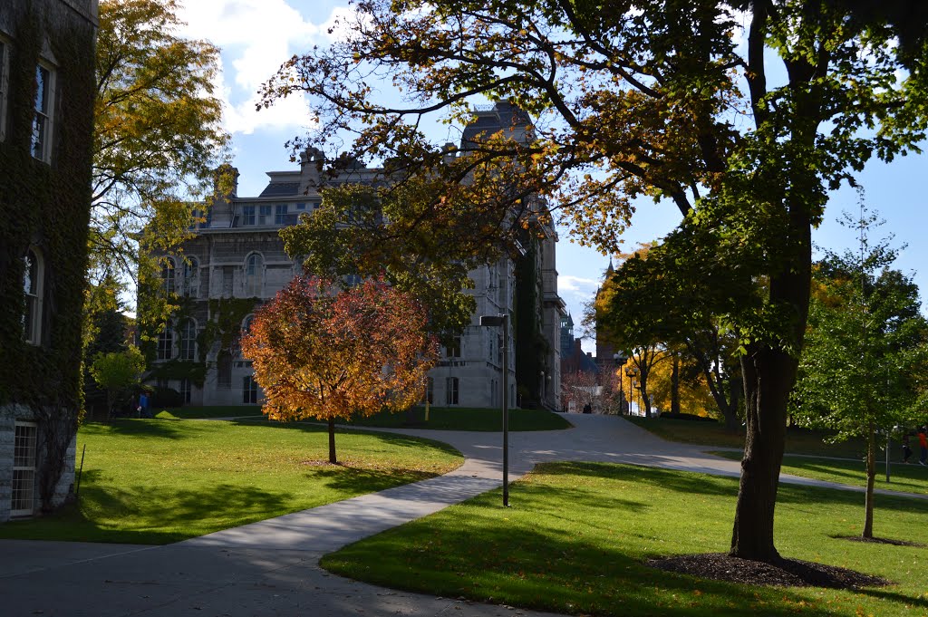 Syracuse University by Idawriter