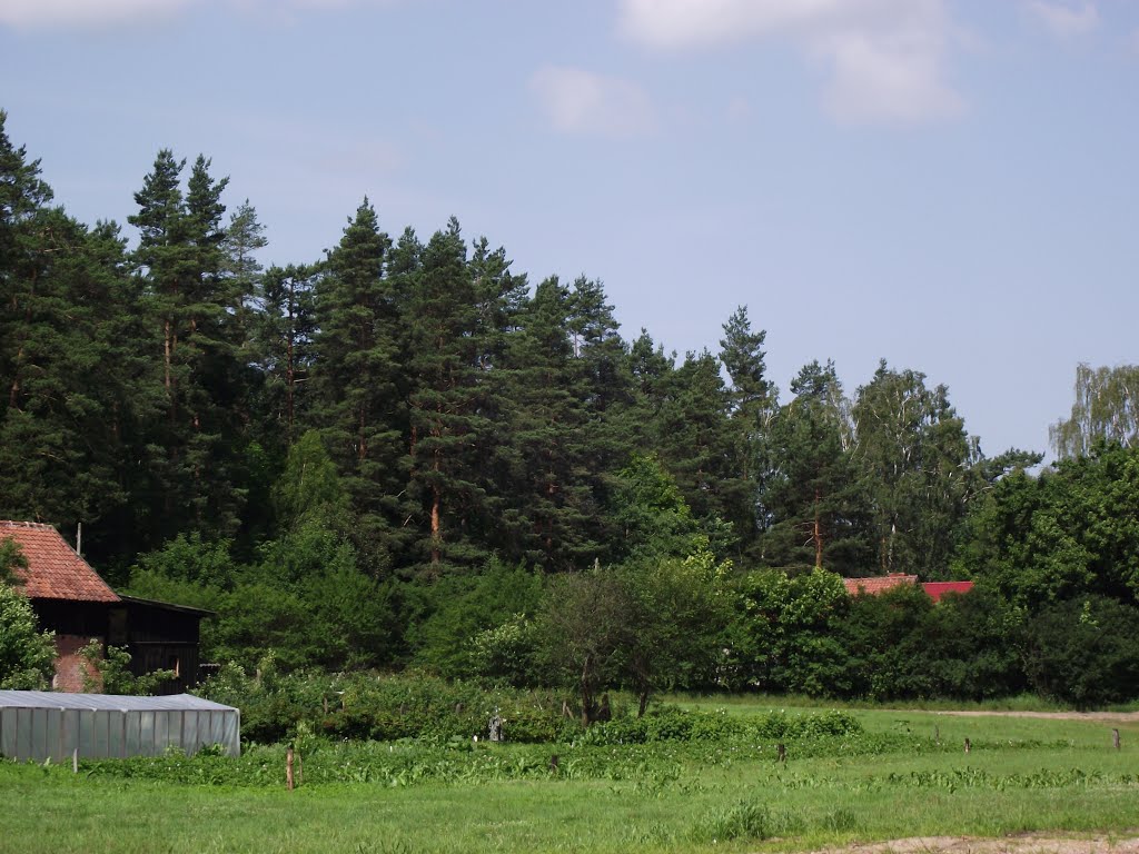 Okolice śluzy '' Zielona'' nad Kanałem Elbląskim by rysnal