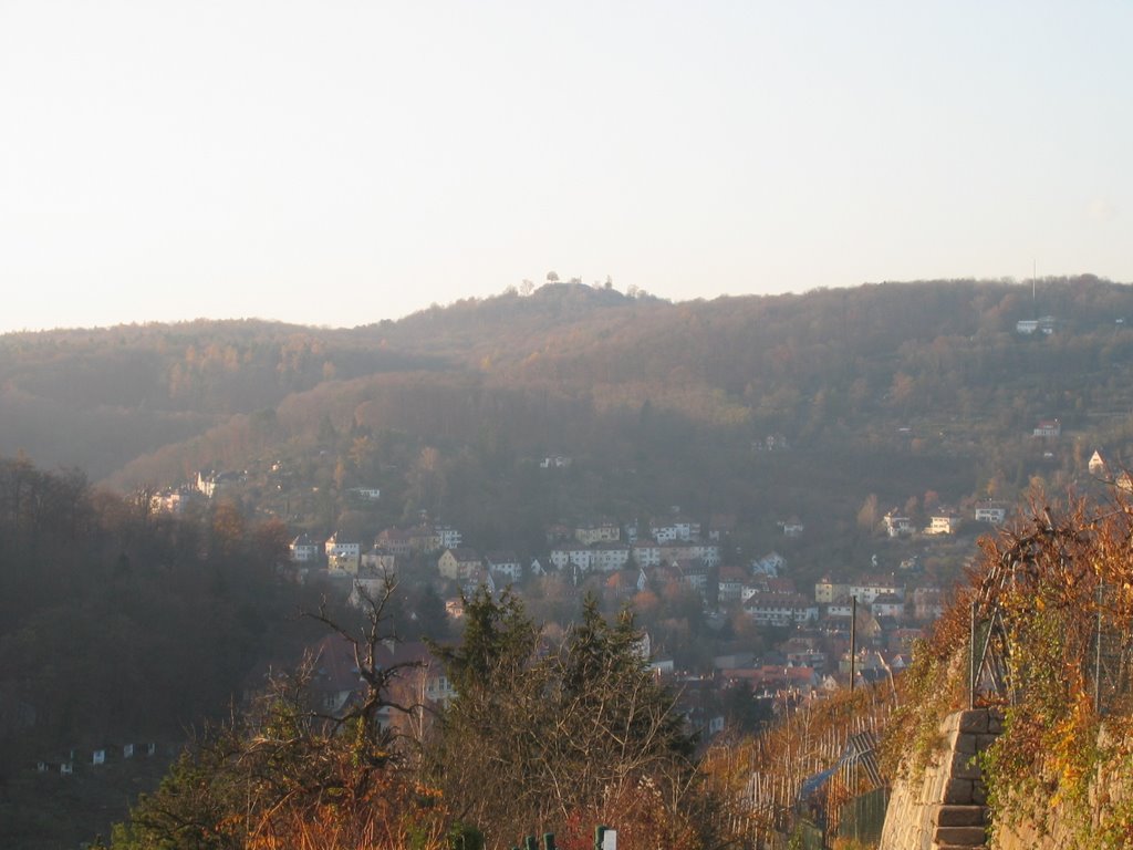 Blick vom Schimmelhüttenweg zum Birkenkopf by 19achtzig