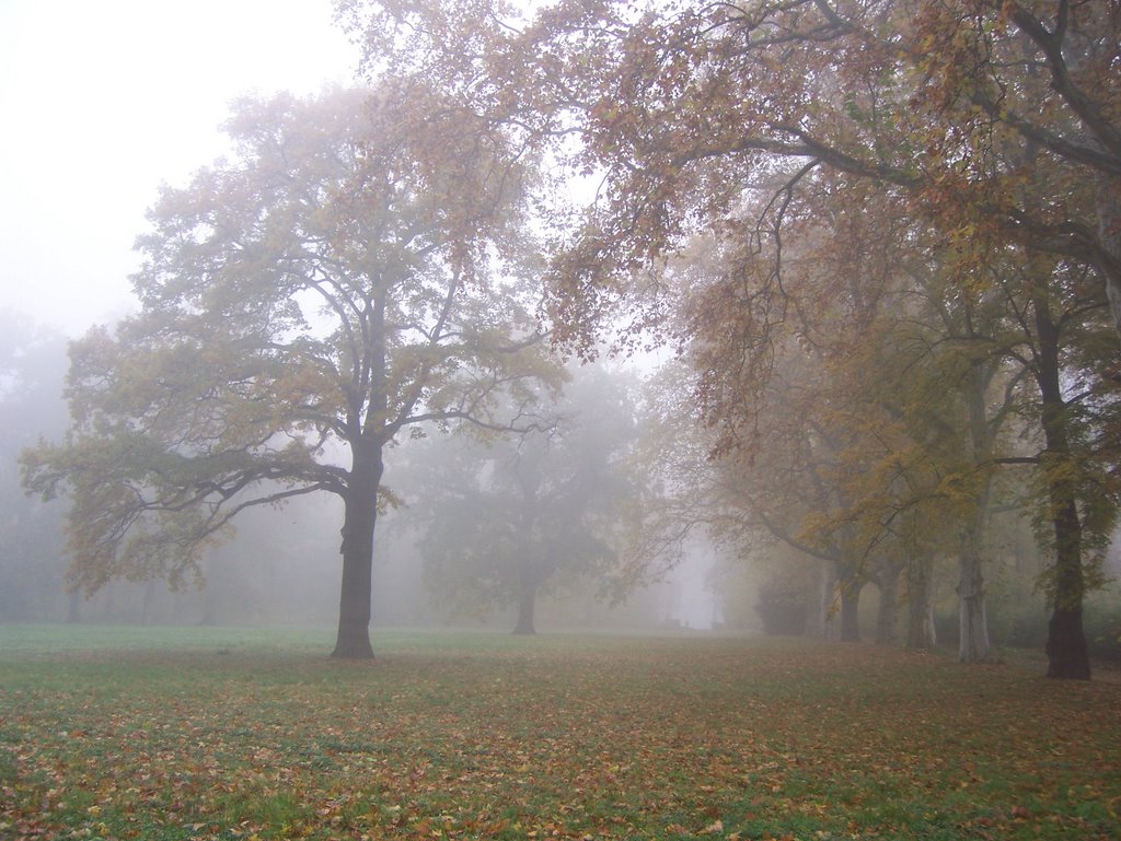 Stadtpark by georgstiegeler