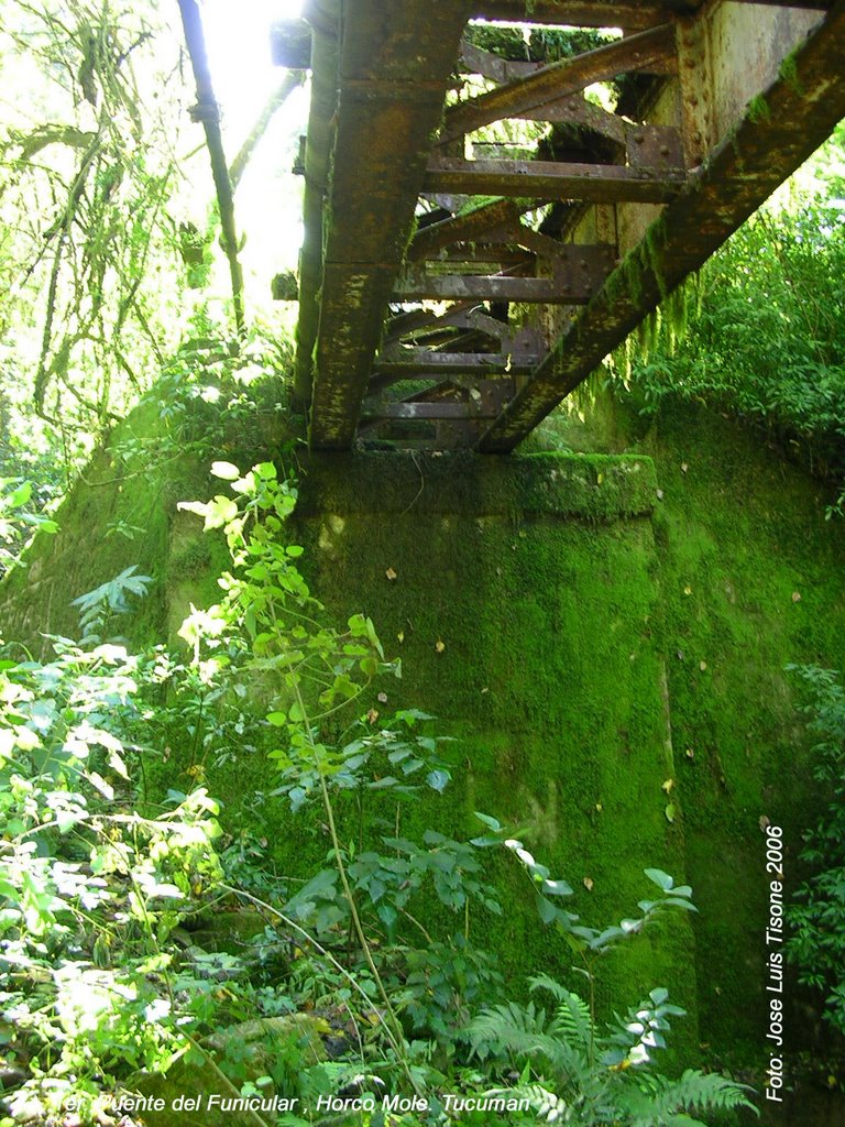 Primer puente del Funicular en Horco Molle, vista desde abajo. by Jose Luis Tisone