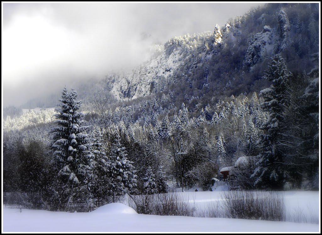 Der kalte Atem des Winters by Heinz Klier