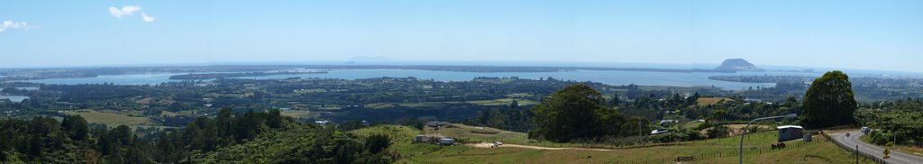 Tauranga Harbour. Panorama from Minden Hill by Alan Carter