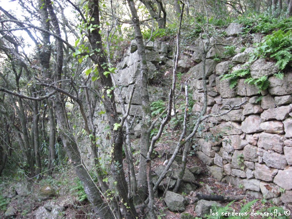 Muros de piedra del antiguo Prenafeta by Los senderos de osnofla