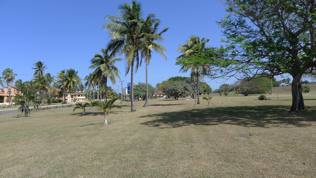 Park. Varadero. Cuba by zhsv