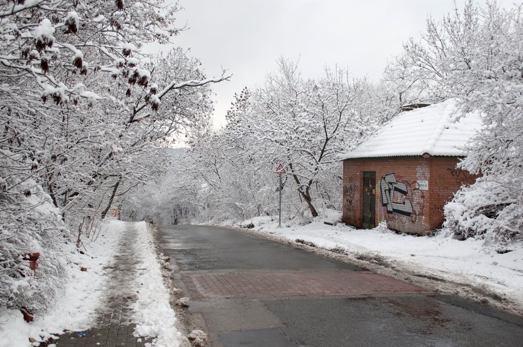 Törökvész út és környéke by hatja-budapest