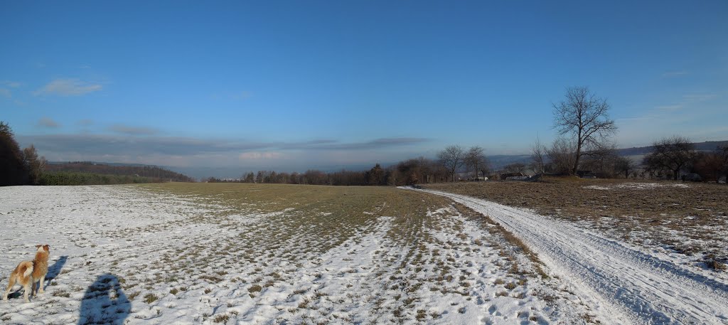 U Olomučan - 8.2.2013 by Robin - psí turista