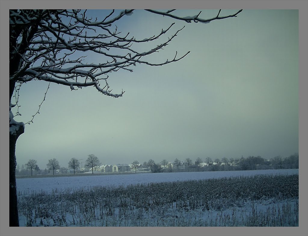 February Winter Light Glottertal - Mythos Black Forest Photography 2013 by jettcom