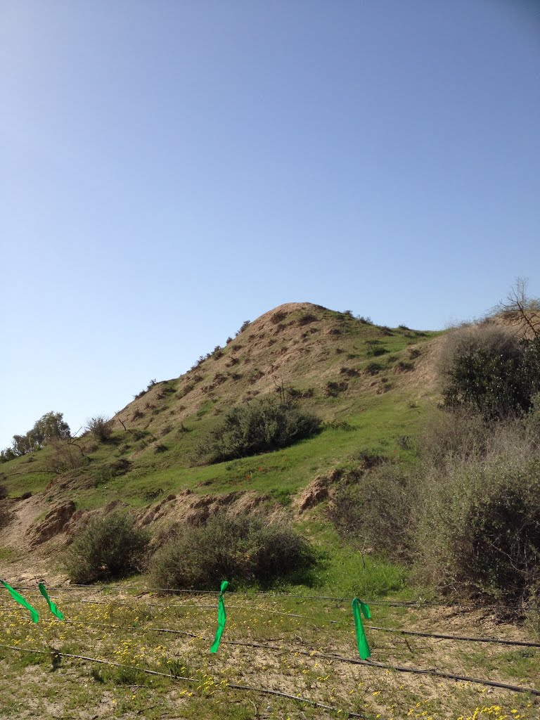 Hill at Park Eshkol HaBsor by Bar1254