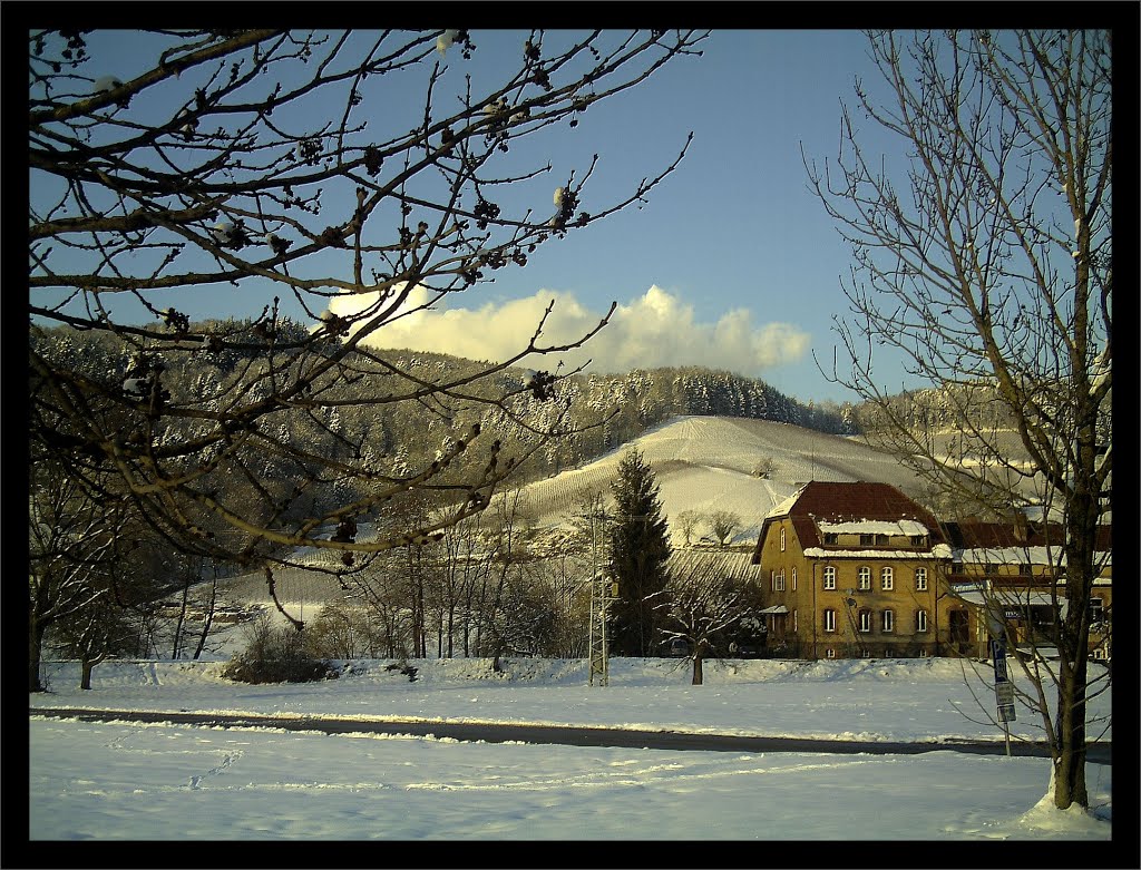 Sun Valley Glottertal Galery - Mythos Black Forest Photography by jettcom