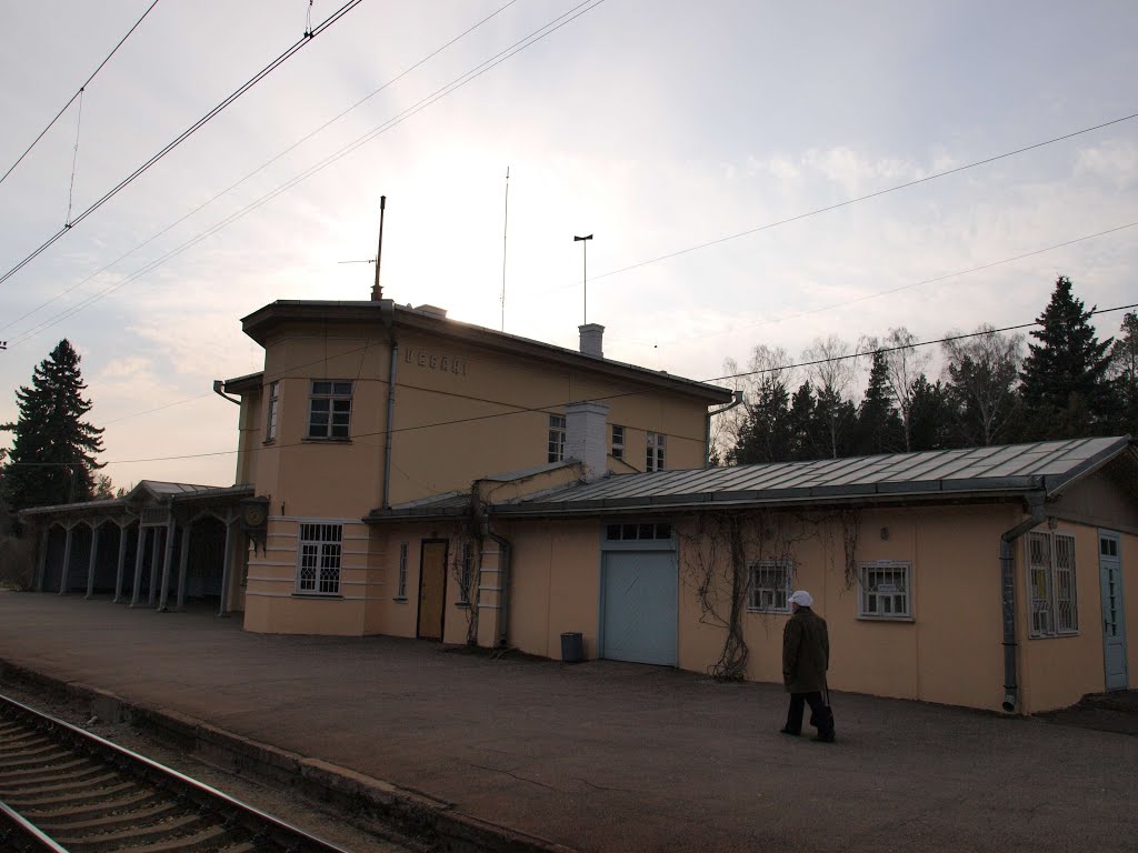 Vecāķi railway station, LV by Rudolph LV