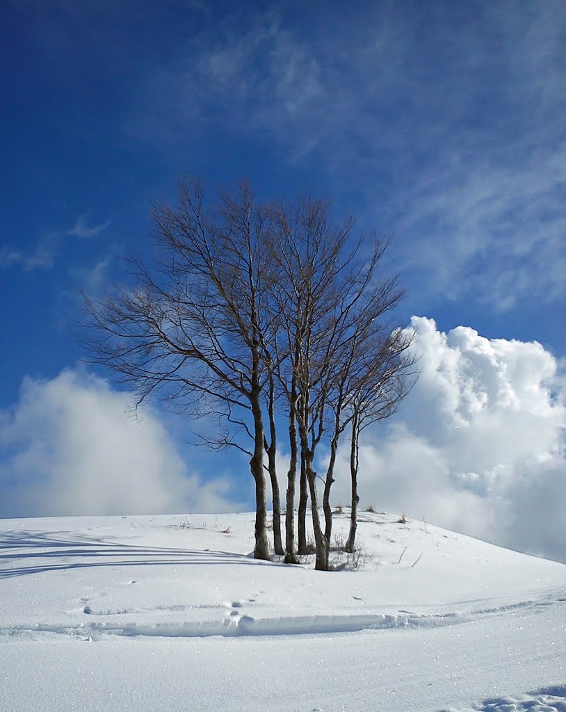 Nel blu ..... by Lorenza Ravanetti