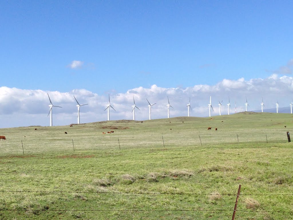 Kama'oa Wind Farm by rogerking