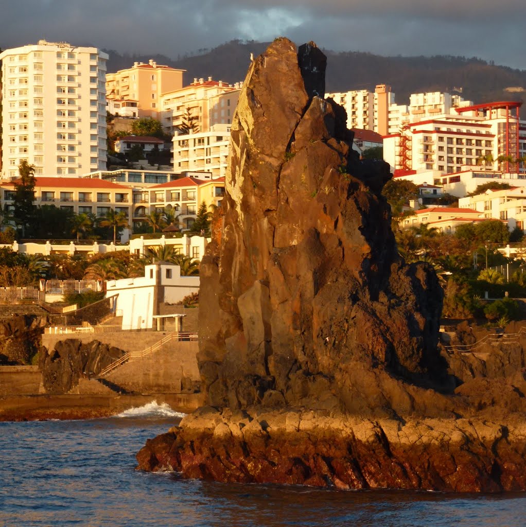 Funchal, Madeira, Portugal by Maximovich Nikolay