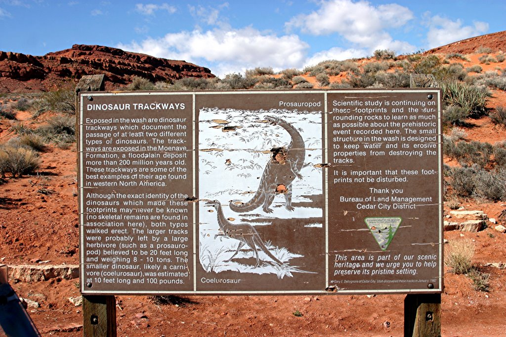 Dinosaur Trackways by Jim Bassett